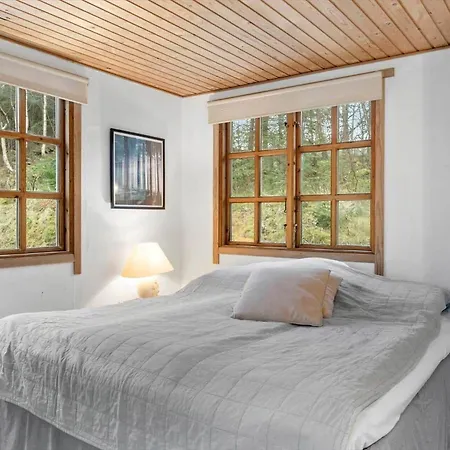 Casa vacanze Bl353-blokhus-kragebak-1